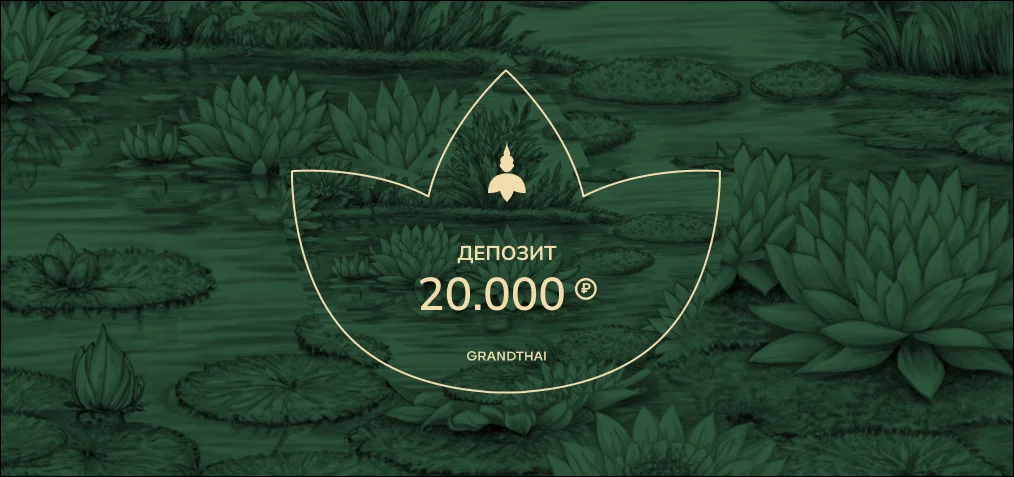 RUB 20,000 Prepaid Spa Credit